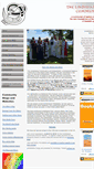 Mobile Screenshot of icmi.org